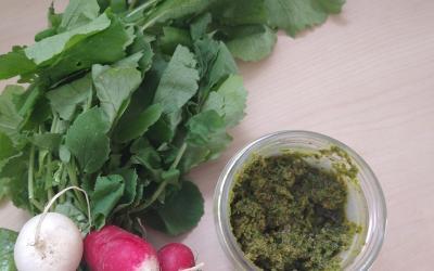 Pesto či pomazánka z ředkvičkové natě