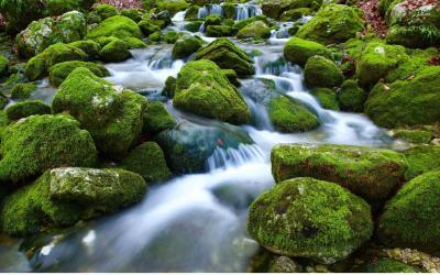 Rock Water – voda z léčivých pramenů