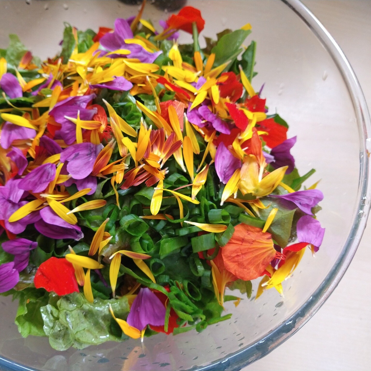salat-v-misce