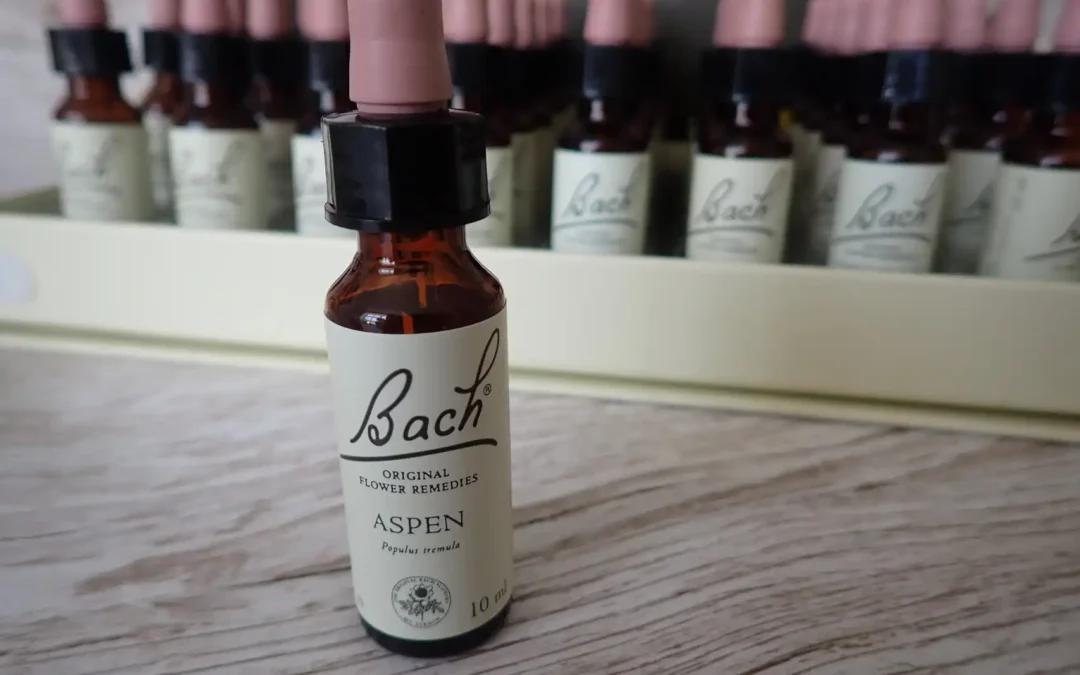 Aspen – Topol osika