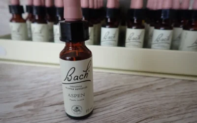 Aspen – Topol osika