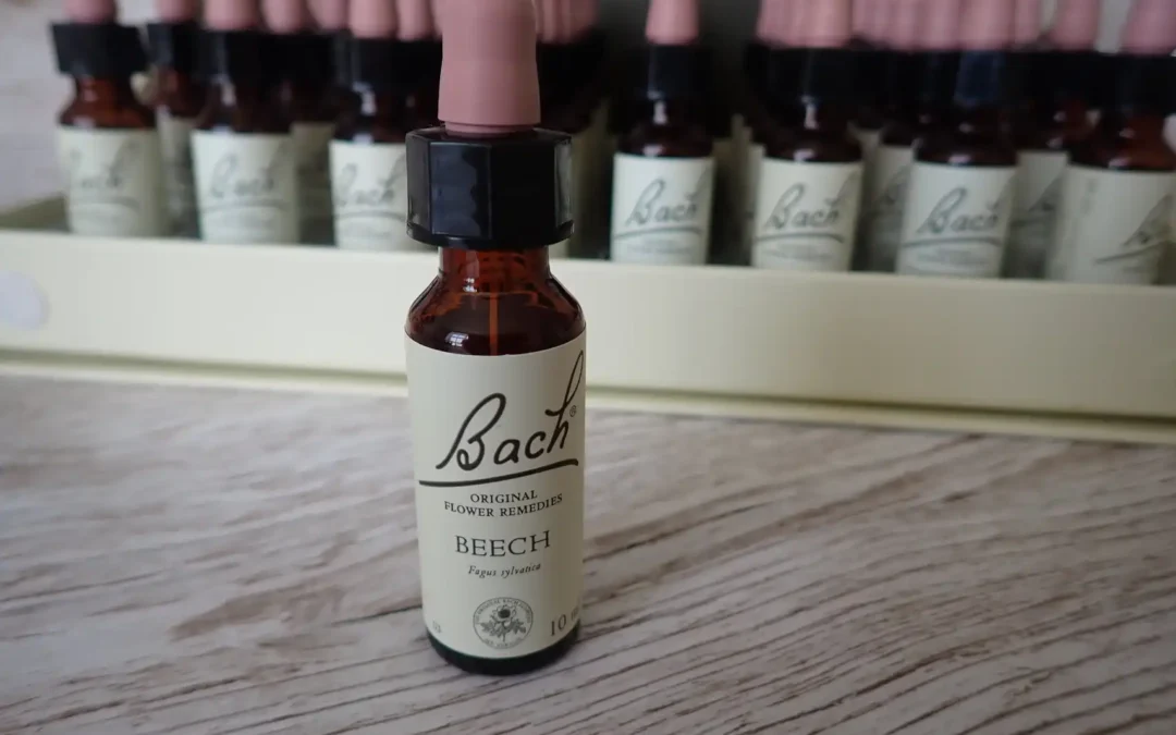 Beech – Buk lesní